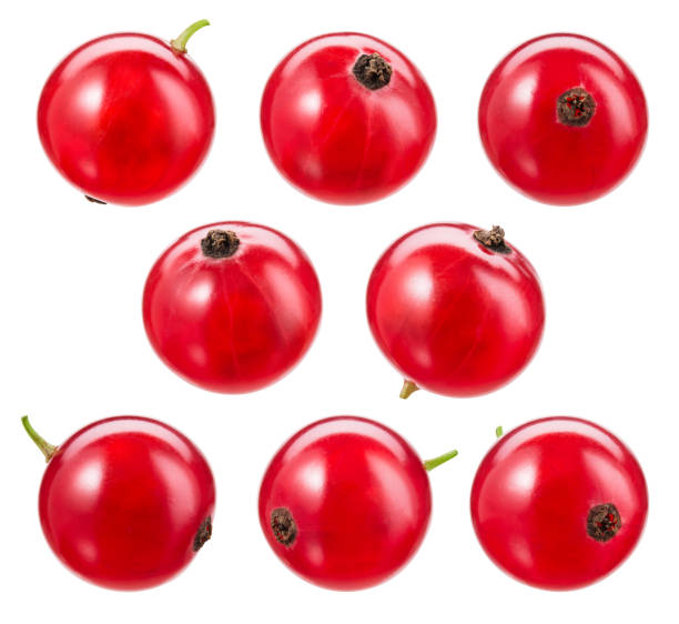 istock Red currant isolated. Currant red on white background. Currant red isolated. Currants on white.  With clipping path. 1254962660