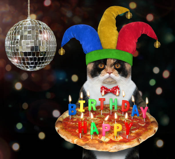 istock Cat clown carries birthday pizza 1254963166