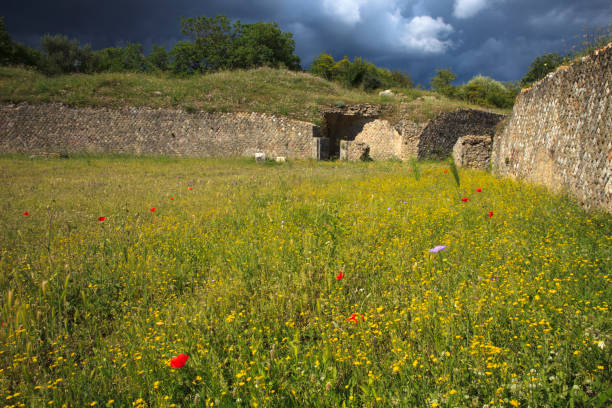 istock Roselle, Grosseto, Tuscany, Italy. 1254963949