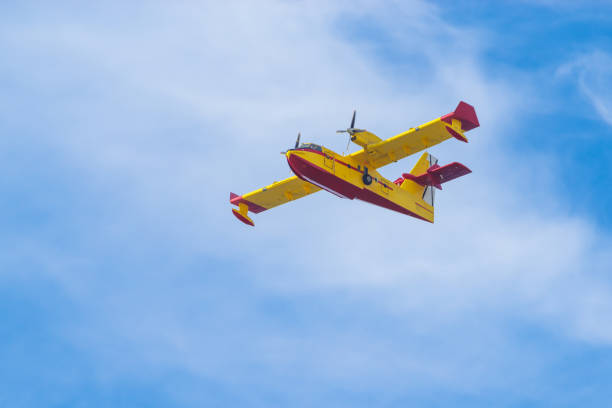 Yellow firefighter canadair plane fly on blue sky above green pine trees and red roofs