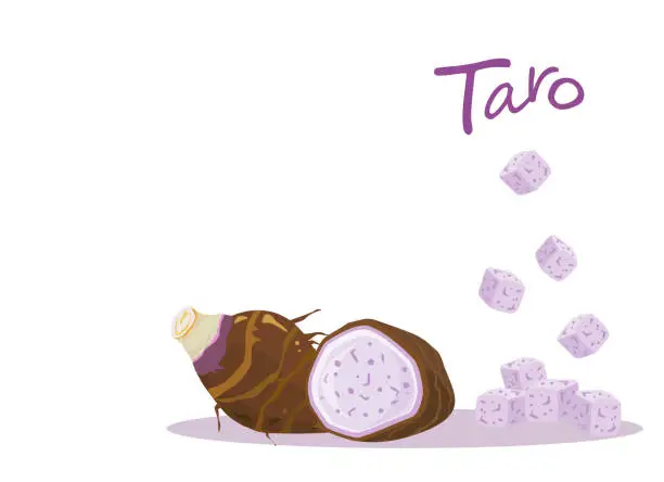 Vector illustration of Half and slice with cubes of taro root isolated on white background.