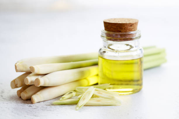 lemongrass essential oil and fresh lemongrass on the white marble table - lemon grass imagens e fotografias de stock