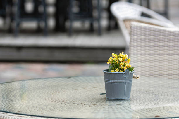 istock small flower pot on the street cafe table, minimalist style, blurred background 1254968992