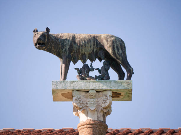 istock Capitoline wolf in Pisa Italy 1254972327