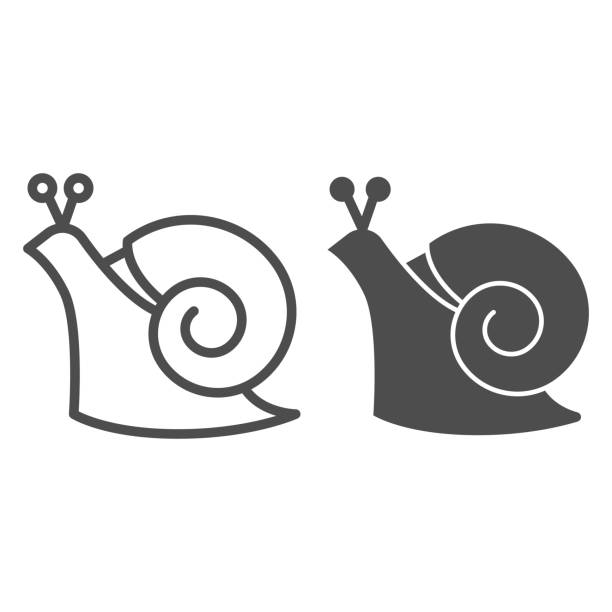 улитка линии и твердые значок, концепция дикой природы, моллюск с спиральной оболочки знак на белом фоне, сад улитки значок в стиле контура � - vector animal snail slug stock illustrations