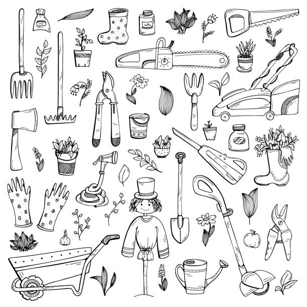 набор рисованное каракули о загородный дом, садовое оборудование, и выращивание овощей. чёрно-белый - чёрно белый иллюстрации stock illustrations