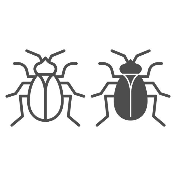Flea line and solid icon, pests concept, home parasite insect sign on white background, Flea icon in outline style for mobile concept and web design. Vector graphics. Flea line and solid icon, pests concept, home parasite insect sign on white background, Flea icon in outline style for mobile concept and web design. Vector graphics pest control logos silhouette stock illustrations