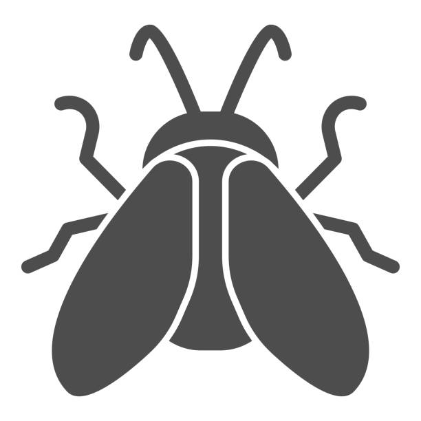 ilustrações de stock, clip art, desenhos animados e ícones de midge solid icon, insects concept, fly sign on white background, midge icon in glyph style for mobile concept and web design. vector graphics. - horse fly