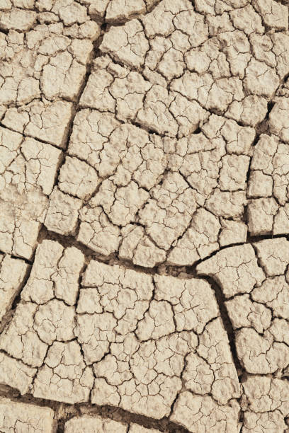 istock Cracks in the earth in rural areas. Ground texture background 1254975180