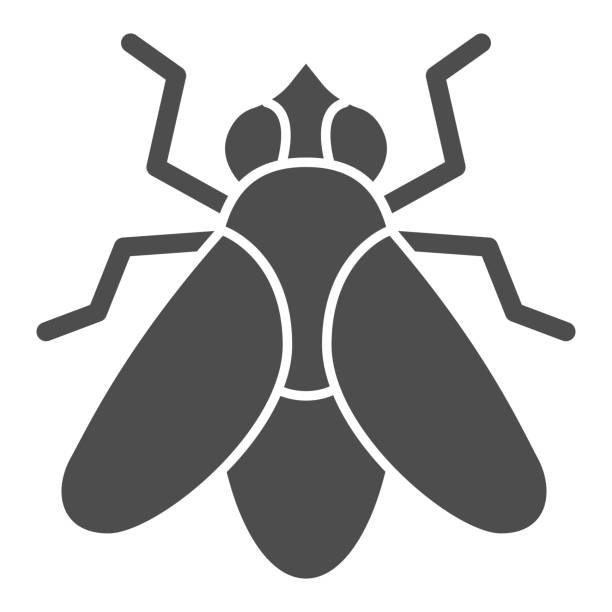 illustrazioni stock, clip art, cartoni animati e icone di tendenza di icona vola solida, concetto insetti, segno insetto volante su sfondo bianco, icona fly silhouette in stile glifo per concetto mobile e web design. grafica vettoriale. - fly flying housefly insect