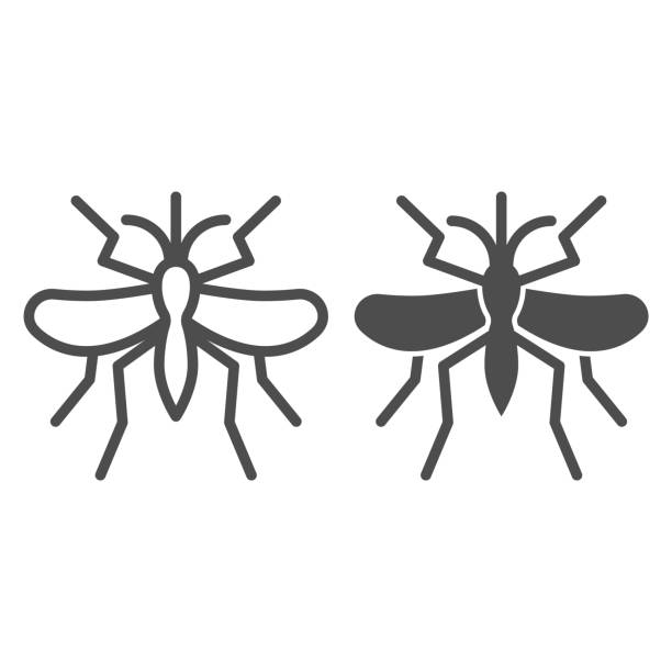 ilustraciones, imágenes clip art, dibujos animados e iconos de stock de línea de mosquitos e icono sólido, concepto de insectos, gnat y signo de plaga sobre fondo blanco, icono de insecto mosquito en estilo de contorno para el concepto móvil y el diseño web. gráficos vectoriales. - mosquito malaria parasite biting insect