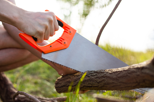 A man saws a fallen tree branch with a hand saw