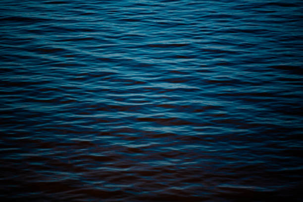 istock The surface of calm water 1254978537