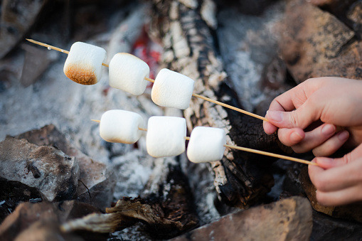 Marshmallows on skewers over the fire