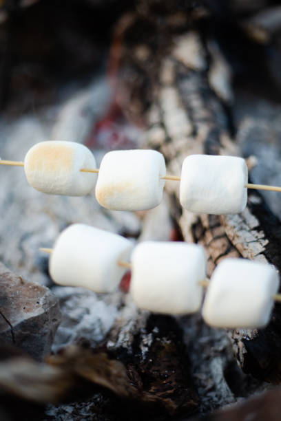 istock Marshmallows on skewers over the fire 1254979284