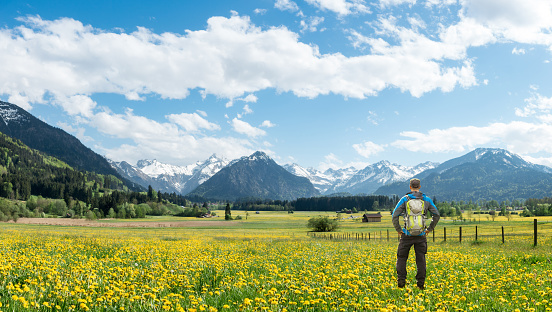 Man with Backpack and hiking equipment stands on beautiful sunny dandelion flower meadow. Snow-covered mountains and clouds in the background. Bavaria, Alps, Allgau, Oberstdorf, Rubi, Germany.