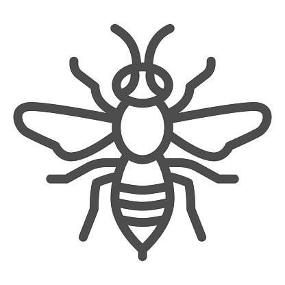 Wasp line icon, Insects concept, bee sign on white background, Wasp insect icon in outline style for mobile concept and web design. Vector graphics
