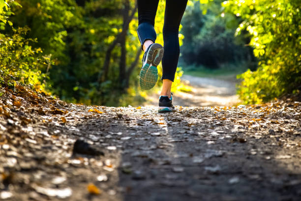 istock Legs of female runner in motion on a forest path 1254983525