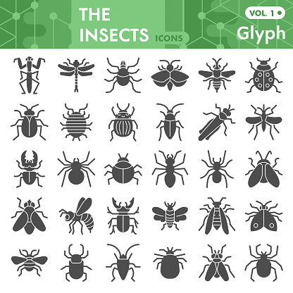 Insects solid icon set, bugs, beetles, termites symbols collection or sketches. Insects silhouettes glyph style signs for web and app. Vector graphics isolated on white background