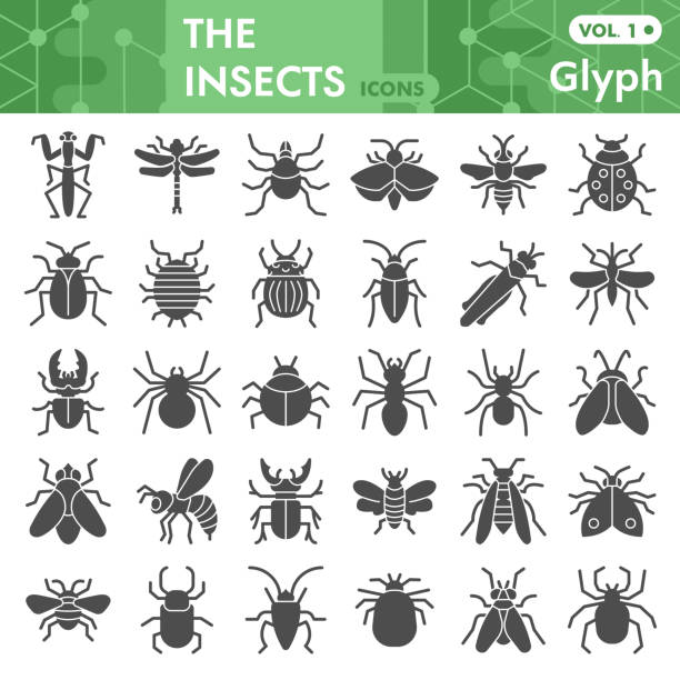 Insects solid icon set, bugs, beetles, termites symbols collection or sketches. Insects silhouettes glyph style signs for web and app. Vector graphics isolated on white background. Insects solid icon set, bugs, beetles, termites symbols collection or sketches. Insects silhouettes glyph style signs for web and app. Vector graphics isolated on white background orthoptera stock illustrations