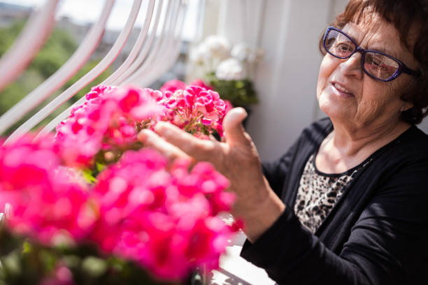 istock Jolly old woman looking at flowers 1254985565