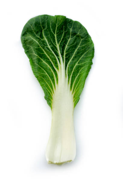 istock bok choy, Chinese cabbage, close up 1254986399