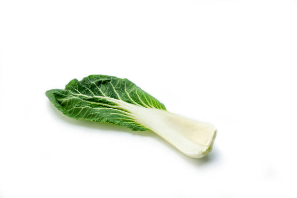 istock bok choy, Chinese cabbage, close up 1254986412