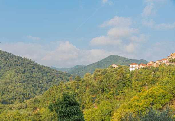 istock Italian summer landscape 1254988560