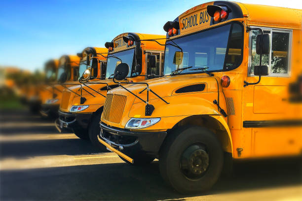 Row of yellow school buses parked with blue sky in background View of front end of gold colored public transportation vehicles used in American education system in a line showing windshields and engine grills school buses stock pictures, royalty-free photos & images