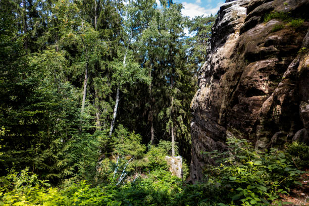 istock Rock face in the Elbe sandstone 1254994104