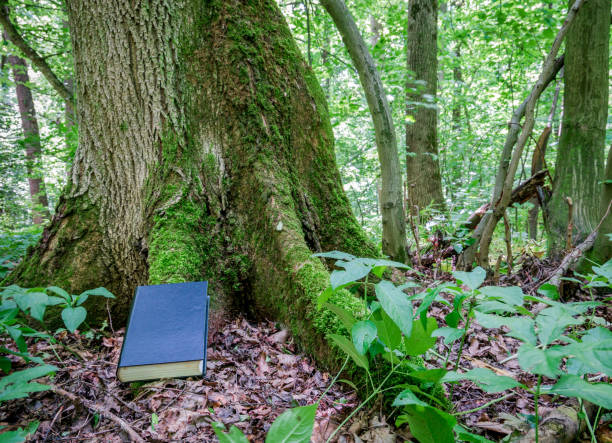 A book with a black leather cover next to a tree covered with green moss.