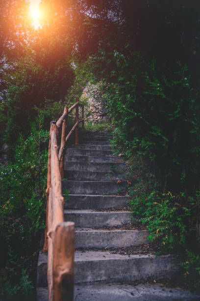 istock A Stone Path In The Mountains At Dawn 1254996244