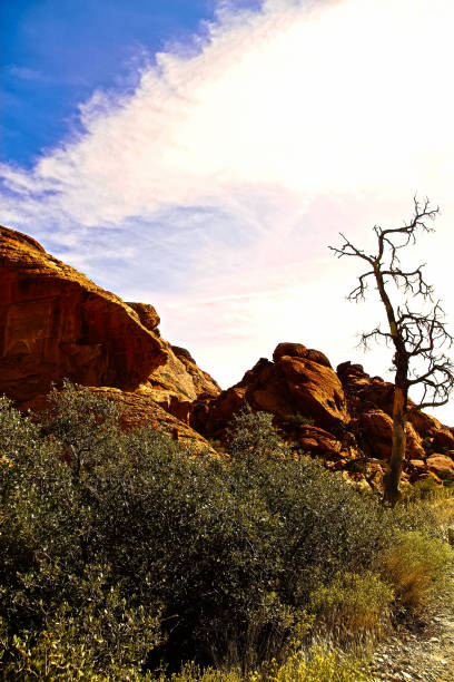istock Red Rock Canyon State Park features scenic desert cliffs, buttes and spectacular rock formations. The park is located where the southern tip of the Sierra Nevada converges with the El Paso Mountains. 1254996732