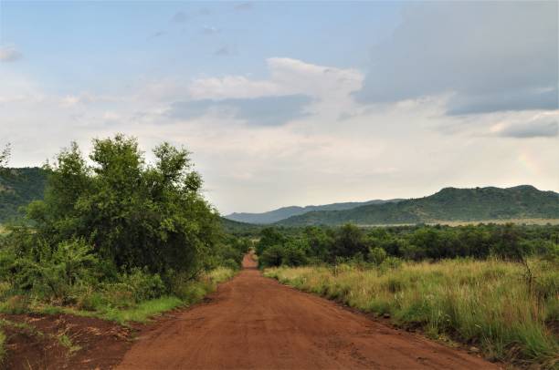 istock Sand road in Africa 1254997518