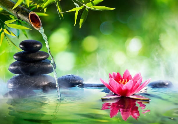 5,000+ Zen Water Fountain Stock Photos, Pictures & Royalty-Free