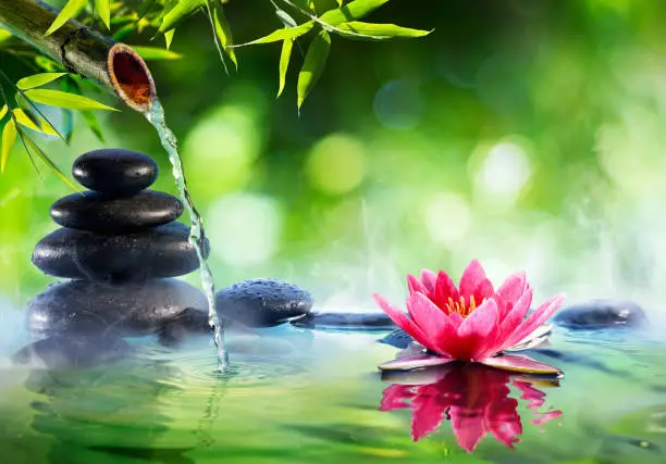 Spa Stones And Lotus Flower With Fountain In Zen Garden