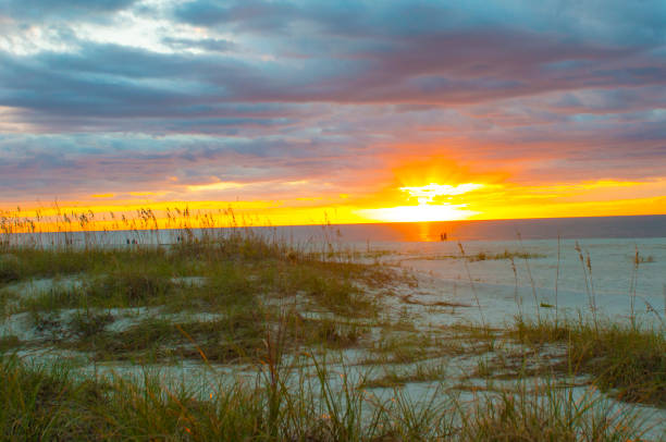 istock Sunrise-Hilton Head Island-South Carolina 1254999537