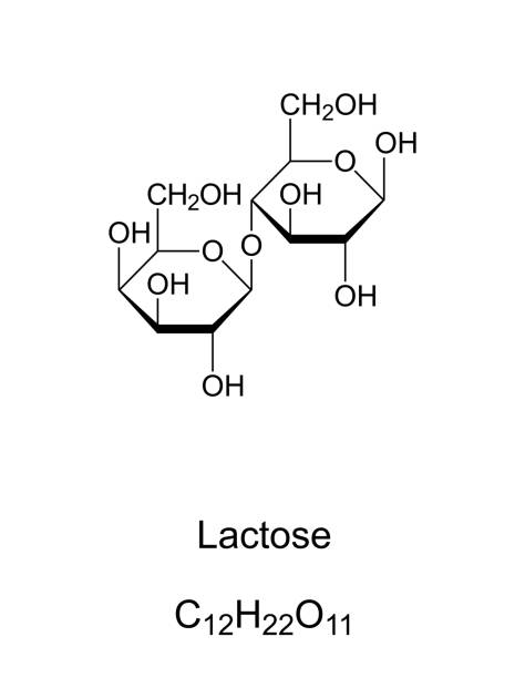 ilustraciones, imágenes clip art, dibujos animados e iconos de stock de lactosa, azúcar de la leche, estructura química y fórmula - enzyme science white background isolated on white