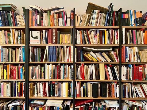 many books on the bookshelf