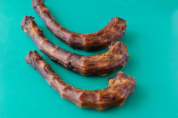 Photo of Three dried turkey necks on a turquoise background.