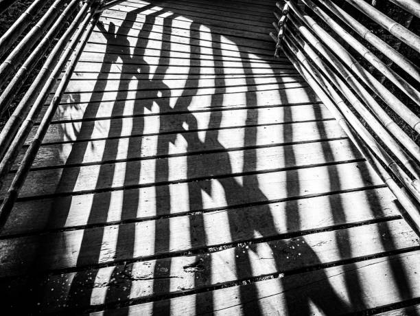 istock Shadow from a Bamboo Rod on a Wooden Walkway 1255003881
