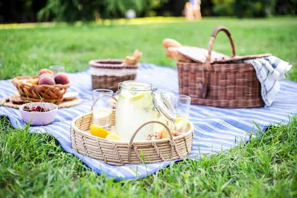Healthy vegetarian picnic with a delicious spread of fresh fruit and bakery products on green grass.