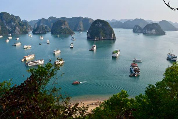 istock Halong bay with many cruise ships. 1255005360