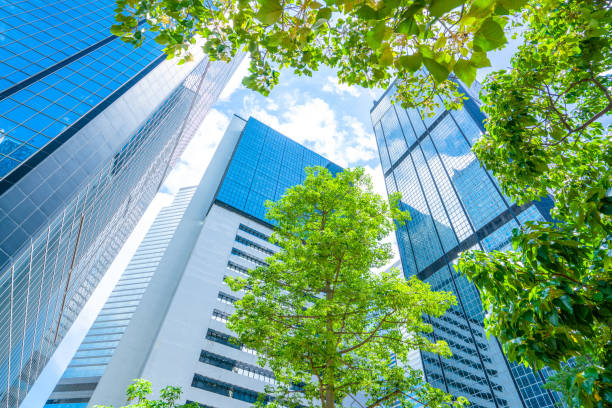 istock Business towers and Green leaves 1255008676