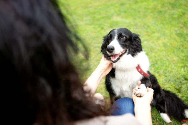istock Two women playing with a cut dog 1255008699