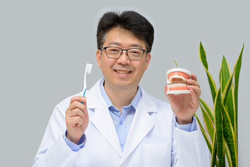 A middle-aged Asian dentist holding dental models and toothbrushes in his hand.