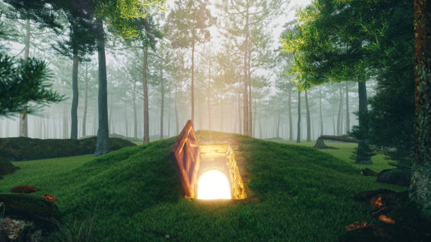 森の中の神秘的なオープンハッチドア - 幻想 ストックフォトと画像