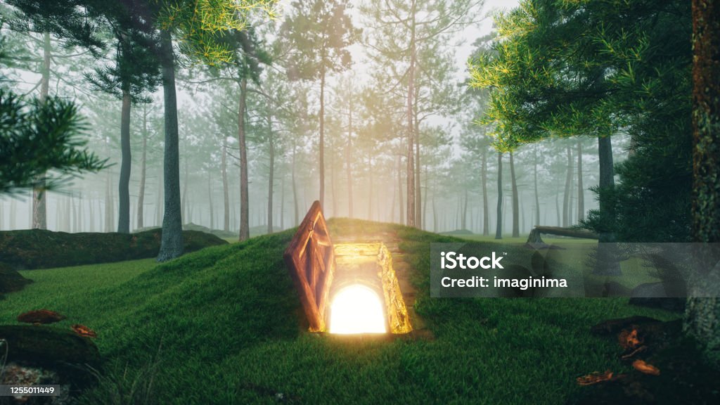 Mysterious Open Hatch Door In The Forest Open gate in the magical fairytale forest. Door Stock Photo