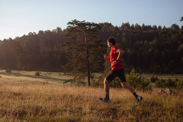 istock Morning jogging in a field 1255012814