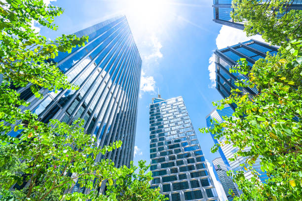 istock Business towers and Green leaves 1255018451